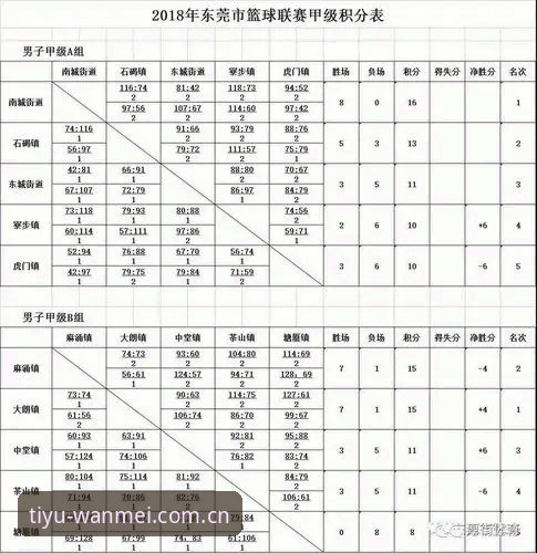 完美体育官网品牌首页详解：从积分双榜到客户端安装的完整使用指南